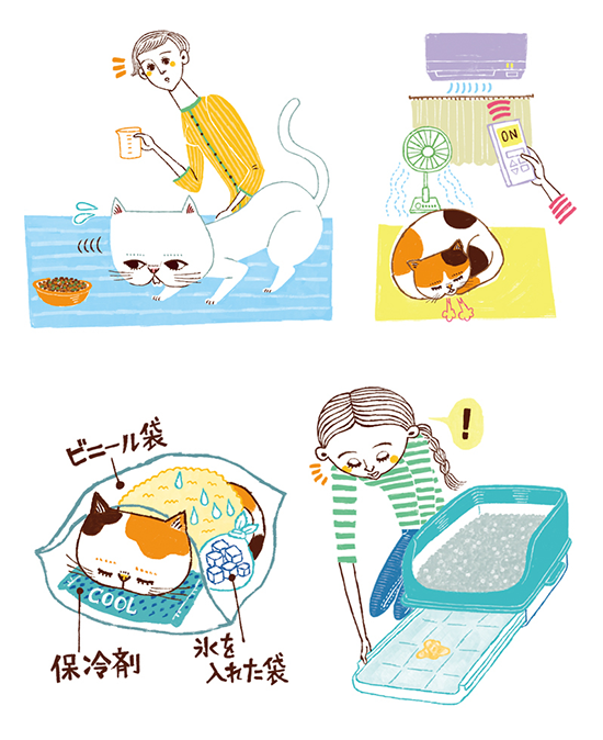 ベネッセコーポレーション〈ねこのきもち〉猫の病気 カットイラスト制作 イラストレーターStudioCUBE.