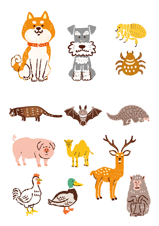 「動物看護」可愛い動物 カットイラスト制作 イラスト制作-イラストレーターStudioCUBE.